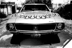 Javelin AMX owner 6